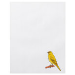 Chaz Canary flyers