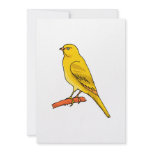 Chaz Canary invitations