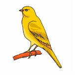Chaz Canary photo sculptures