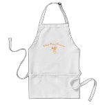 Cheap Fairy Costume aprons