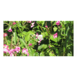 Cheaper Than Roses... photo cards