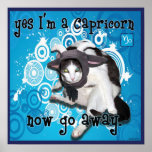 checkers capricorn posters