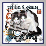 checkers gemini posters