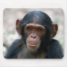 Cheeky Chimp Mouse Pads