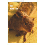 Cheeky Chipmunk cards