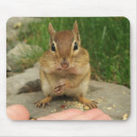 Cheeky Chipmunk mousepads