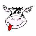 Cheeky Cow t-shirts