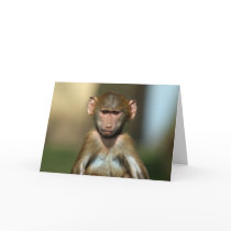 Cheeky Monkey - Cute Baby Baboon Card