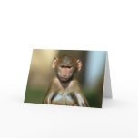 Cheeky Monkey - Cute Baby Baboon Card