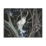 Cheeky Monkey Postcards