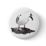 Cheeky Seagull Buttons