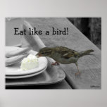 Cheeky Sparrow Poster posters