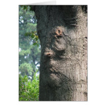 Cheer up! greeting cards