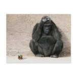Cheer up! postcards