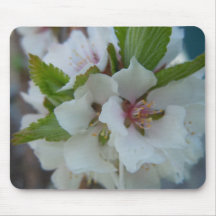 Cheerful Apple Blossom Mousepad