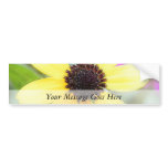 Cheerful Black Eyed Susan Bumper Stickers