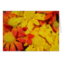 Cheerful Faces Card