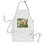 Cheerful Hellebores In The Spring Garden aprons