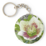 Cheerful Hellebores In The Spring Garden keychains