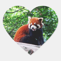 Cheerful Red Panda Heart Sticker