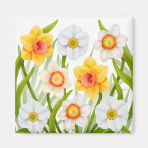 Cheerful Spring Daffodils Magnet Square