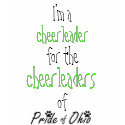 Cheerleader for the Cheerleaders t-shirts