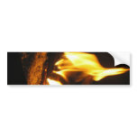 Cheery Fire Picture from Home P5230008 bumper stickers