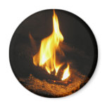 Cheery Fire Picture from Home P5230008 magnets