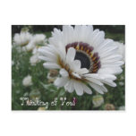 Cheery Thinking of You postcards