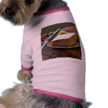 Cheese And Strawberry On Palte Still Life Photo Pet Shirt