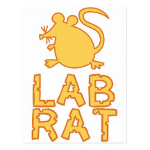 Cheese Lab Rat Post Card