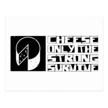 Cheese Survive Postcards
