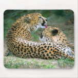 Cheetah#2-Mousepad