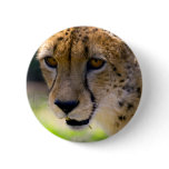 Cheetah 9120 buttons