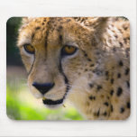 Cheetah 9120 mousepads