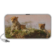 Cheetah and baby cubs iPod speakers