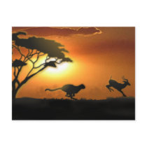 Cheetah and Gazelle post card