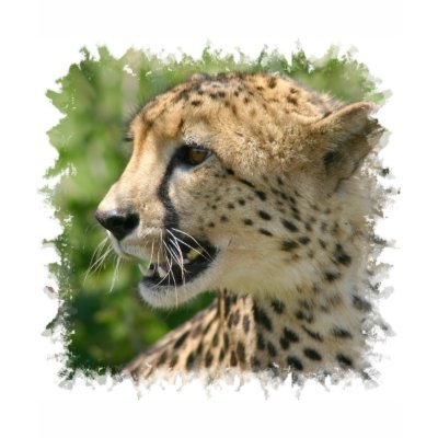 Cheetah Attack Children`s T-Shirt