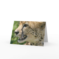 Cheetah Attack Greeting Card