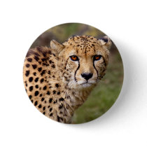 Cheetah Badge Pin