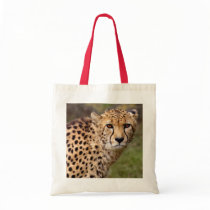 Cheetah Bag