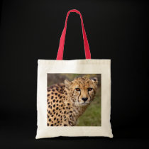 Cheetah Bag
