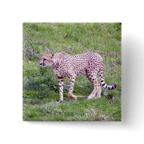 Cheetah Pin