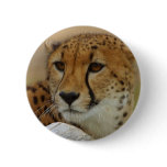 Cheetah buttons