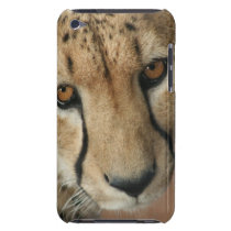 Cheetah Cat  iTouch Case Ipod Case-mate Cases
