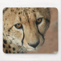 Cheetah Cat Mouse Pad