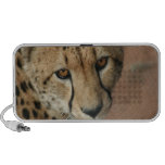 Cheetah Cat Speakers