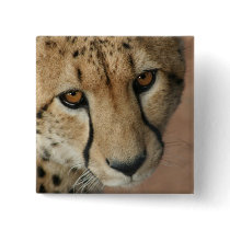 Cheetah Cat Square Button