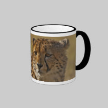 Cheetah mugs