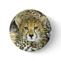 Cheetah Cub 2 Pinback Buttons